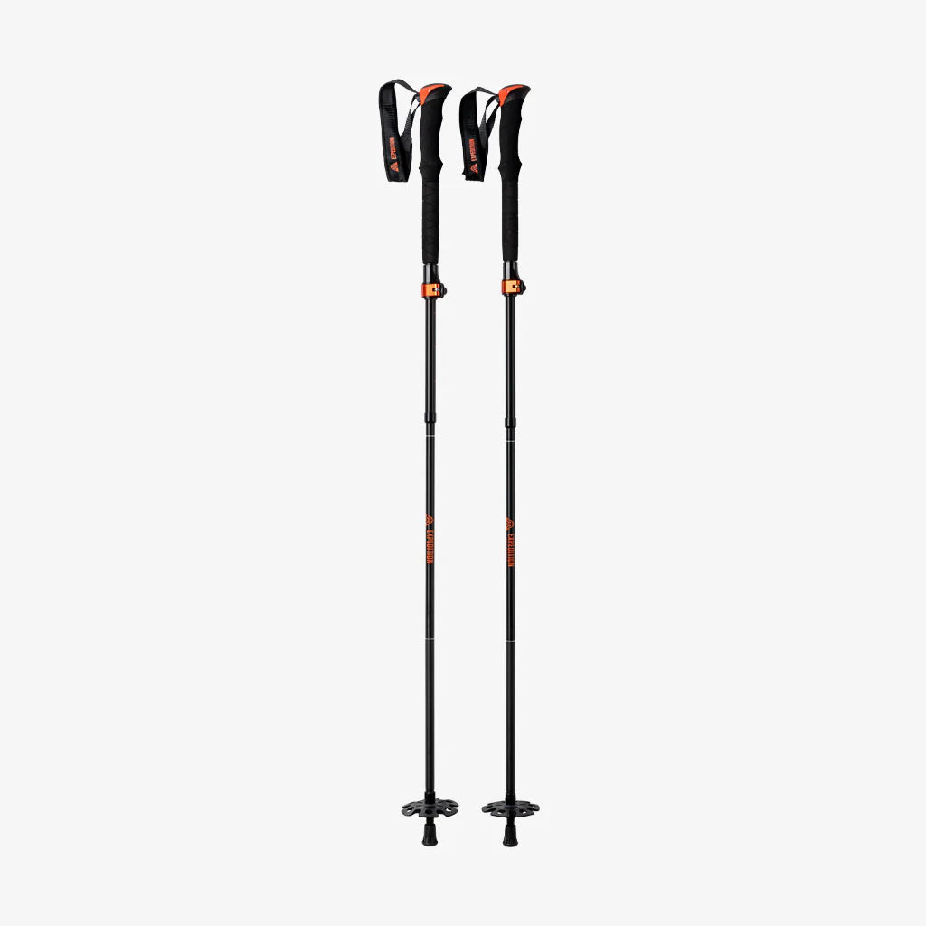 Splitboard Touring Poles