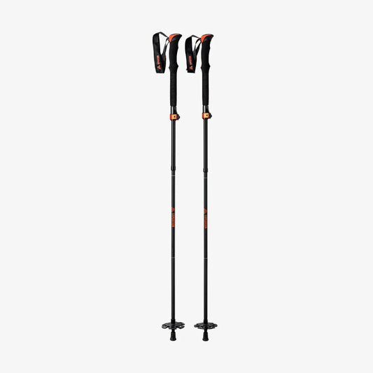 Splitboard Touring Poles